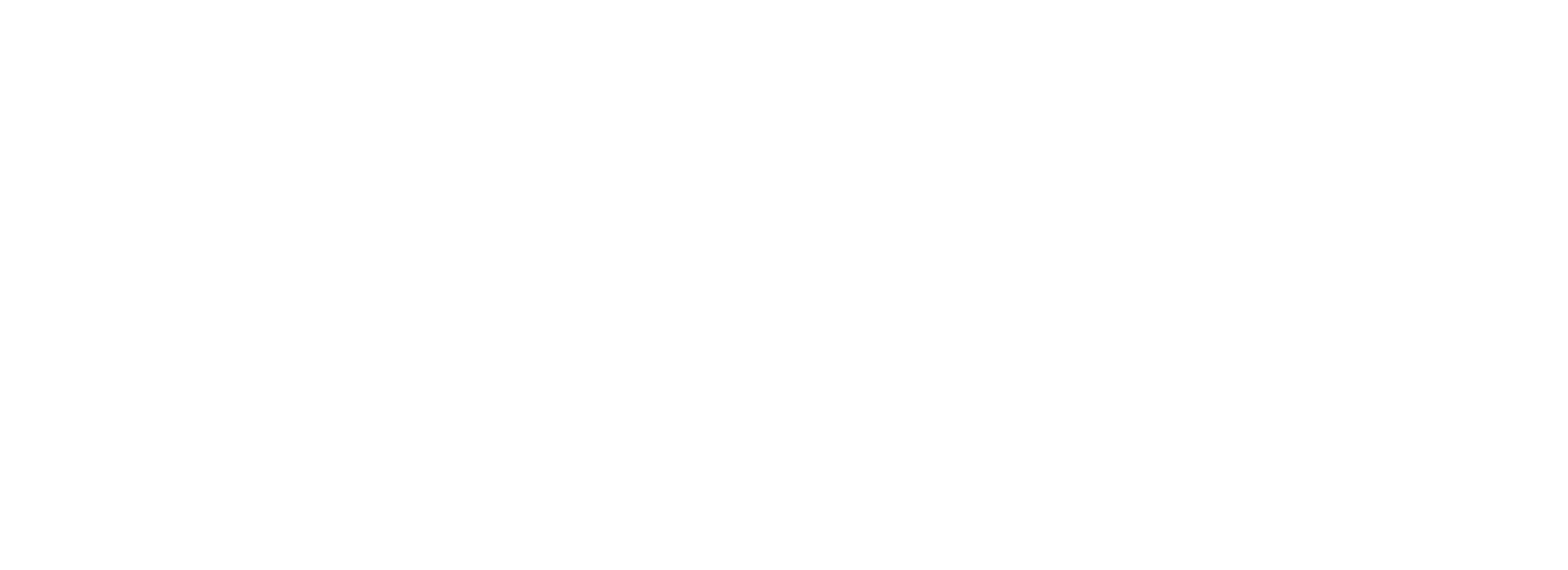 SIC — Salesforce Italia Consulting